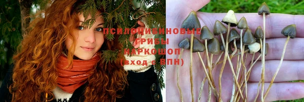тгк Белоозёрский