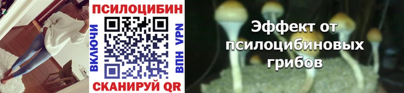Купить где  Котовск  Псилоцибиновые грибы мицелий 